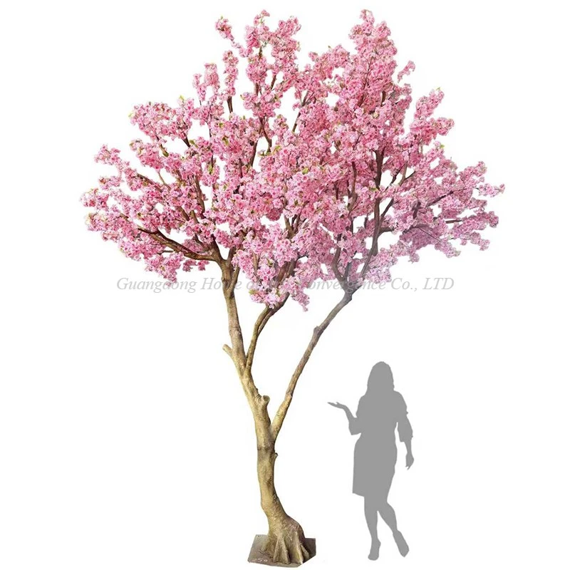 product-800-800